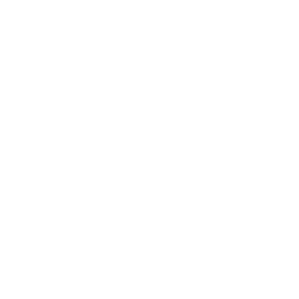 Paradise Copies